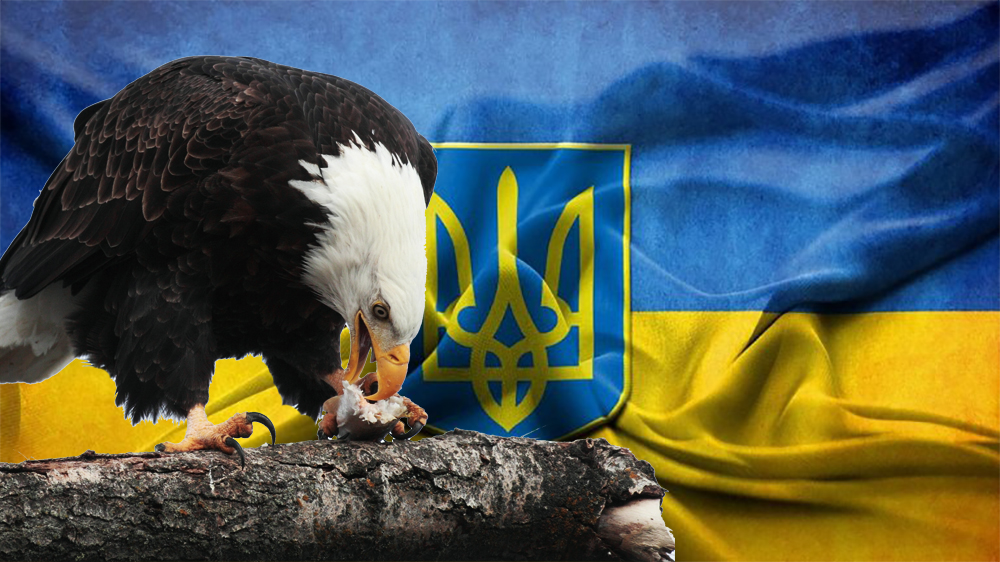 На Украине заявили о потере смысла существования страны