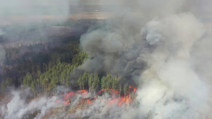 Зеленский прокомментировал ситуацию с пожаром в чернобыльской зоне