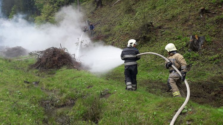 Жара в Украине может привести к массовым пожарам на торфяниках - Житомирская ОГА